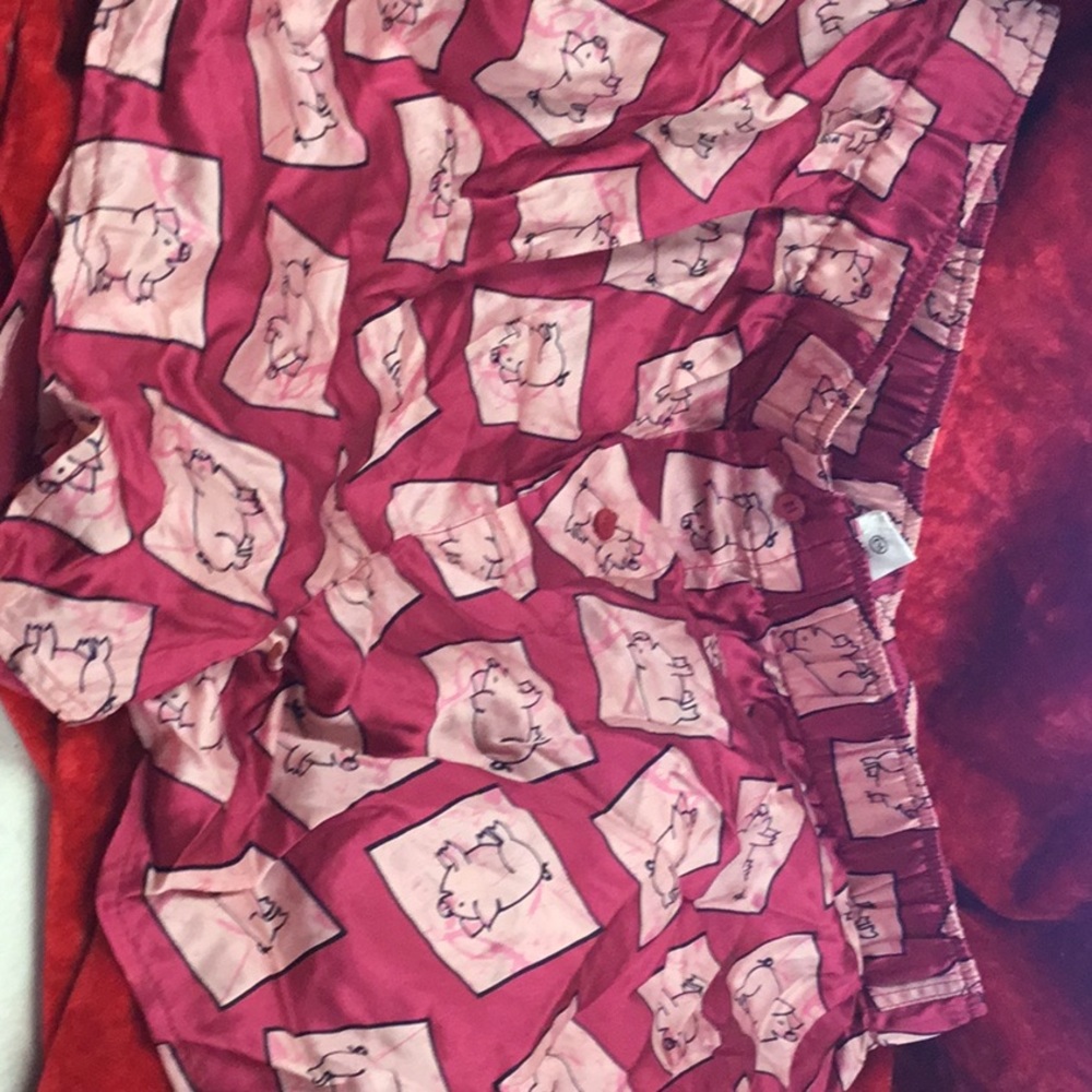 Bixer Shorts SILK with Pigs